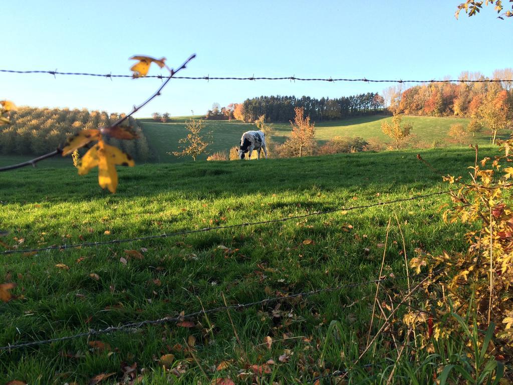Villa O Macra Aubel Zimmer foto